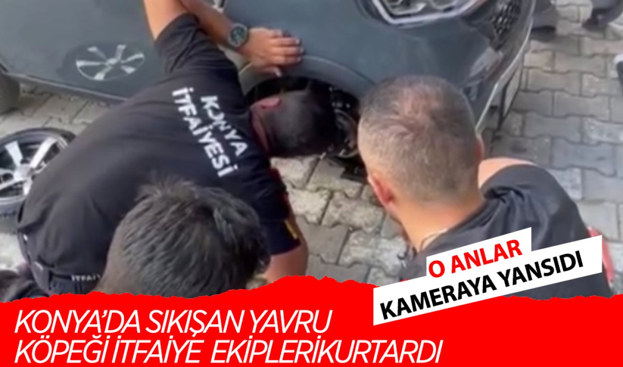 Konya’da sıkışan yavru köpeği itfaiye ekipleri kurtardı! O anlar kameraya yansıdı