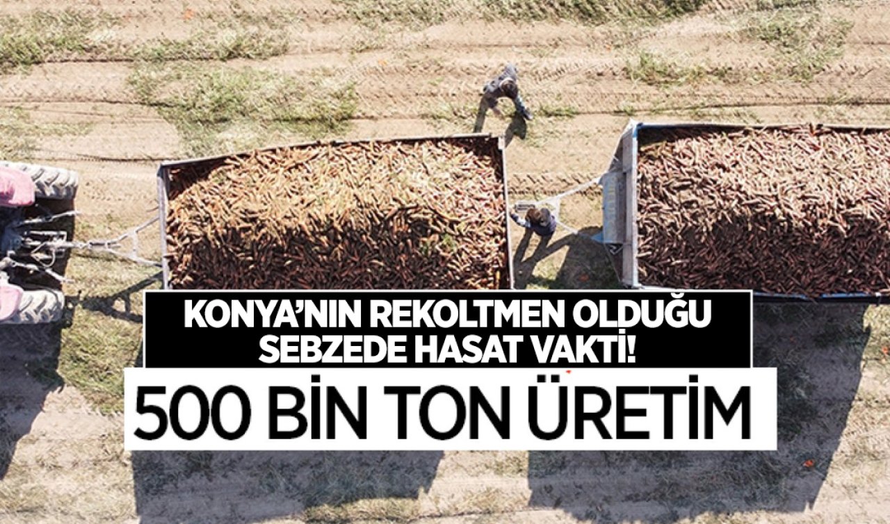 Konya’nın rekortmen olduğu sebzede hasat başladı! 500 bin ton üretim