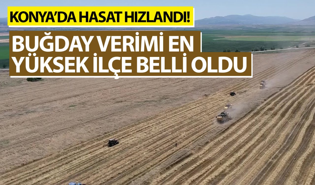 Konya’da hasat hızlandı! Buğday verimi en yüksek ilçe belli oldu