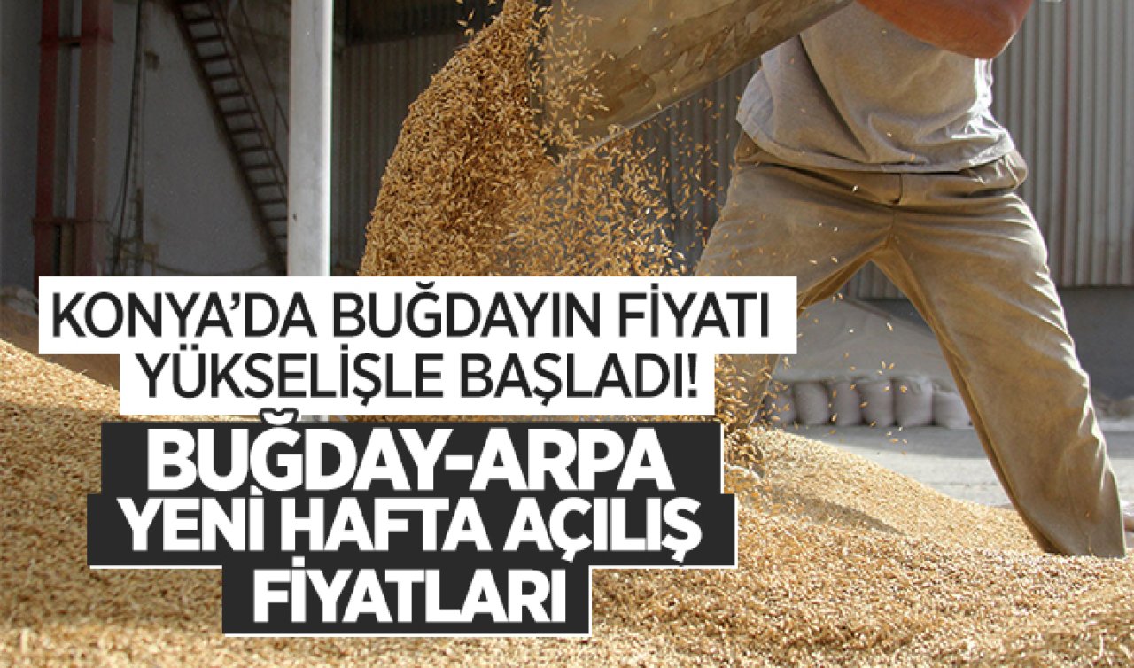 Konya’da buğdayın fiyatı yükselişle başladı! Buğday, arpa yeni hafta açılış fiyatları