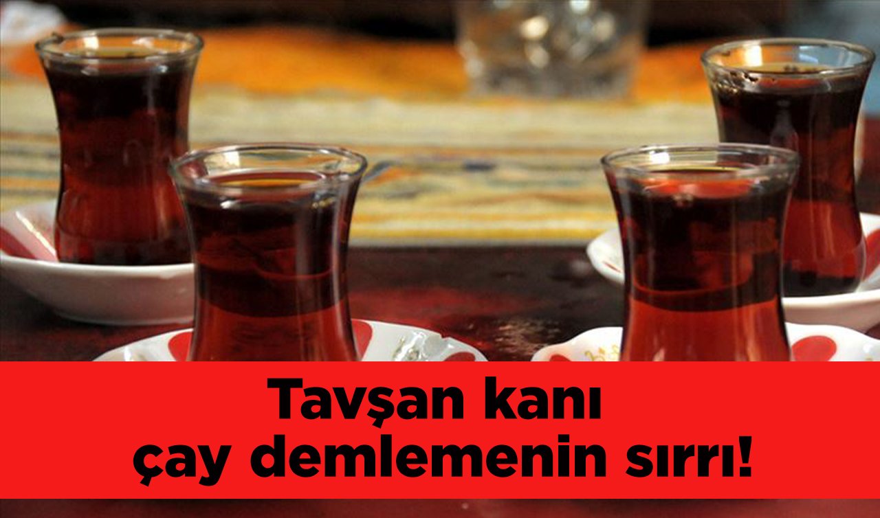 Karadenizliler anlattı! Tavşan kanı çay demlemenin sırrı...
