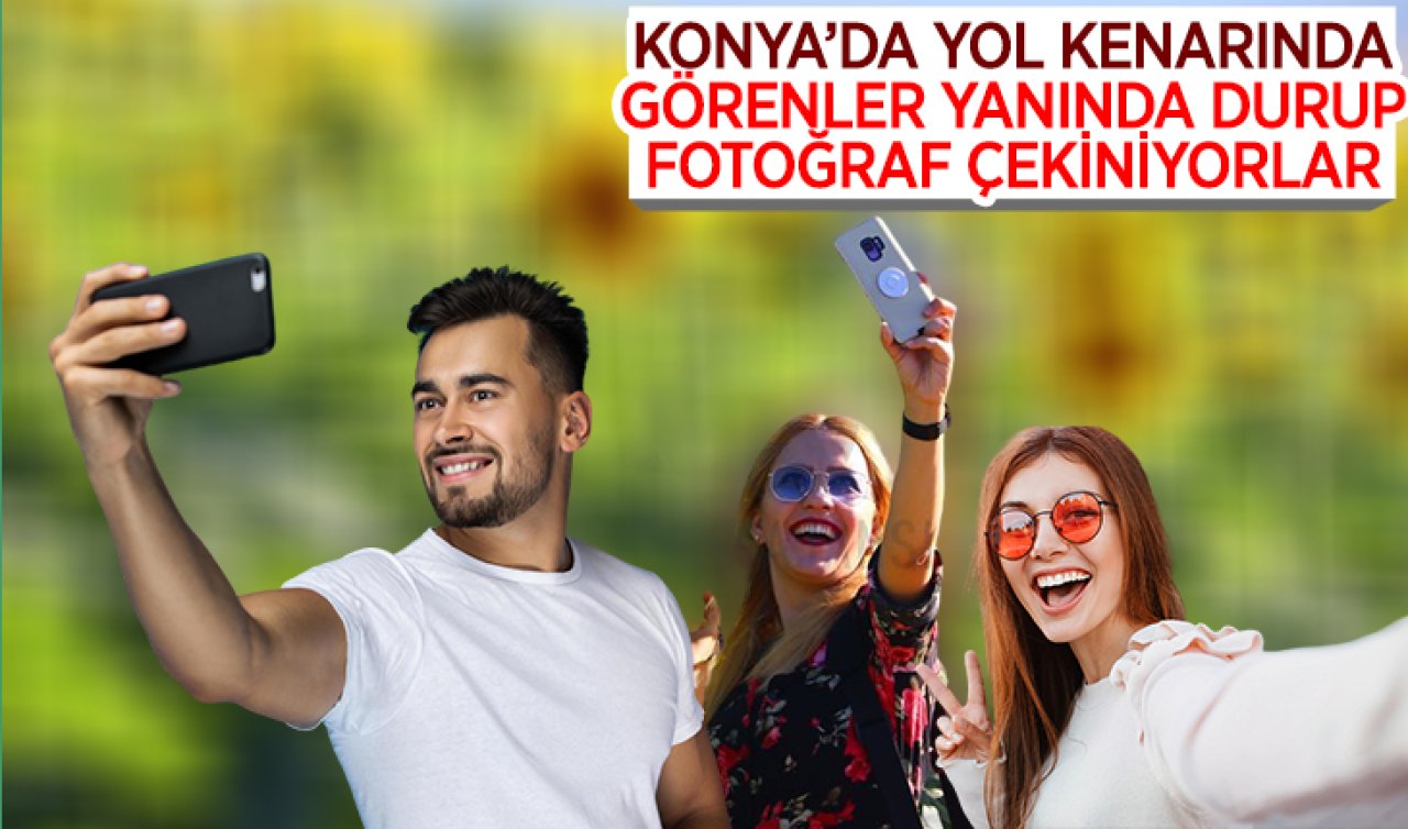 Konya’da yol kenarında görenler yanında durup fotoğraf çekiniyor!
