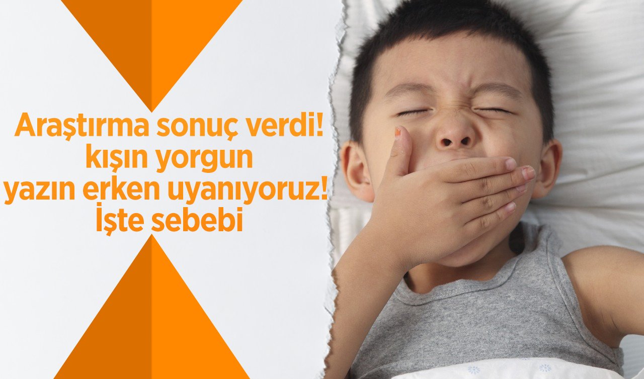 Araştırma sonuç verdi! Kışın yorgun yazın erken uyanıyoruz! İşte sebebi 
