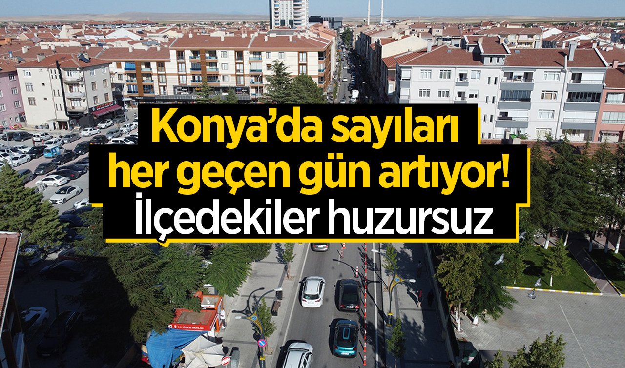  Konya’da sayıları her geçen gün artıyor! İlçedekiler huzursuz