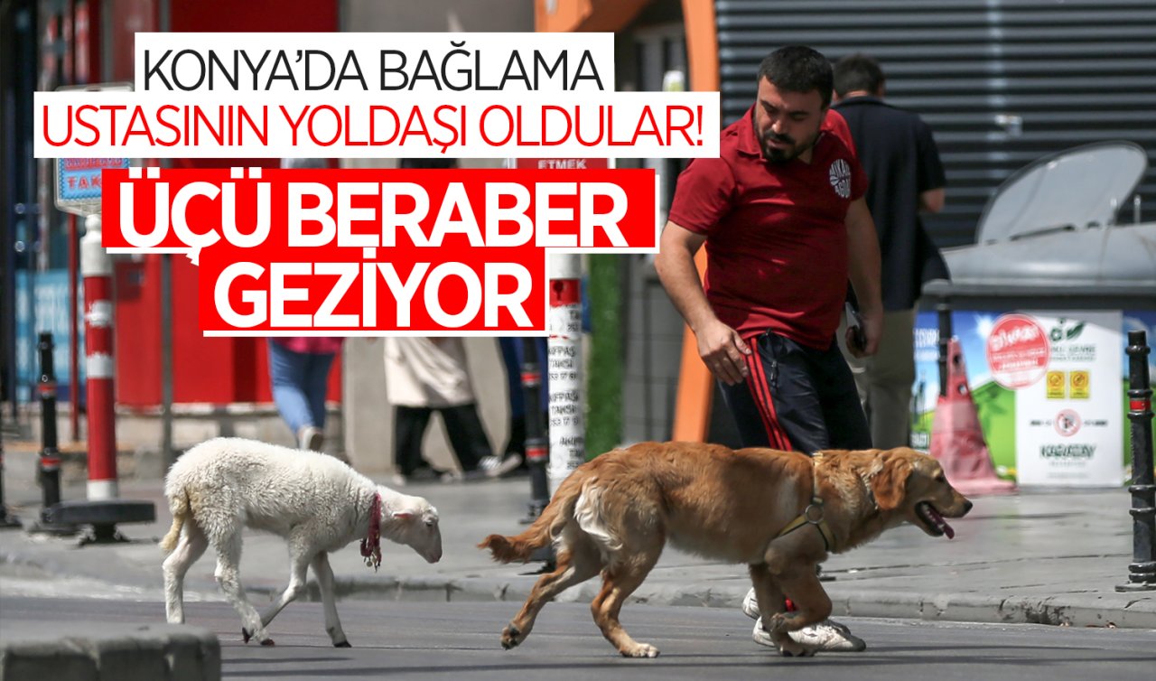  Konya’da bağlama ustasının yoldaşı oldular! Üçü beraber geziyor