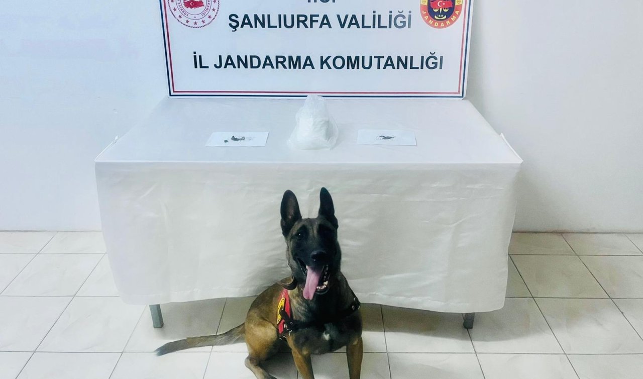 Uyuşturucu operasyonunda 2 kişi ele geçirildi 