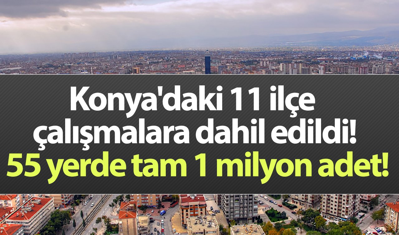 Konya’daki 11 ilçe çalışmalara dahil edildi!  55 yerde tam 1 milyon adet!