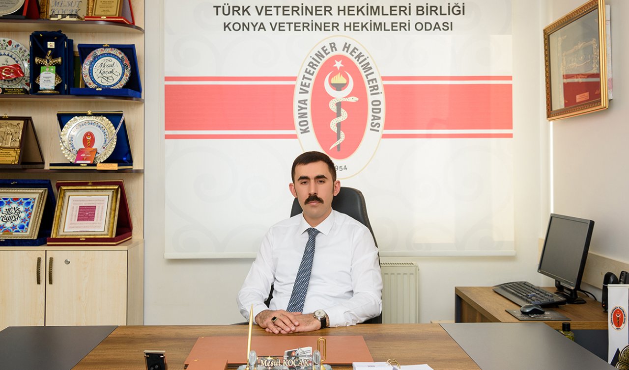 Mesut Koçak’tan 15 Temmuz mesajı: Vatan her şeyden önce gelir 