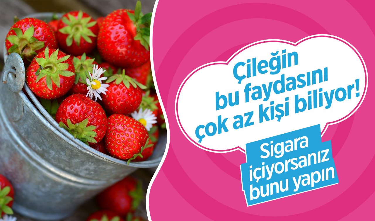 Çileğin bu faydasını çok az kişi biliyor! Sigara içiyorsanız bunu yapın  