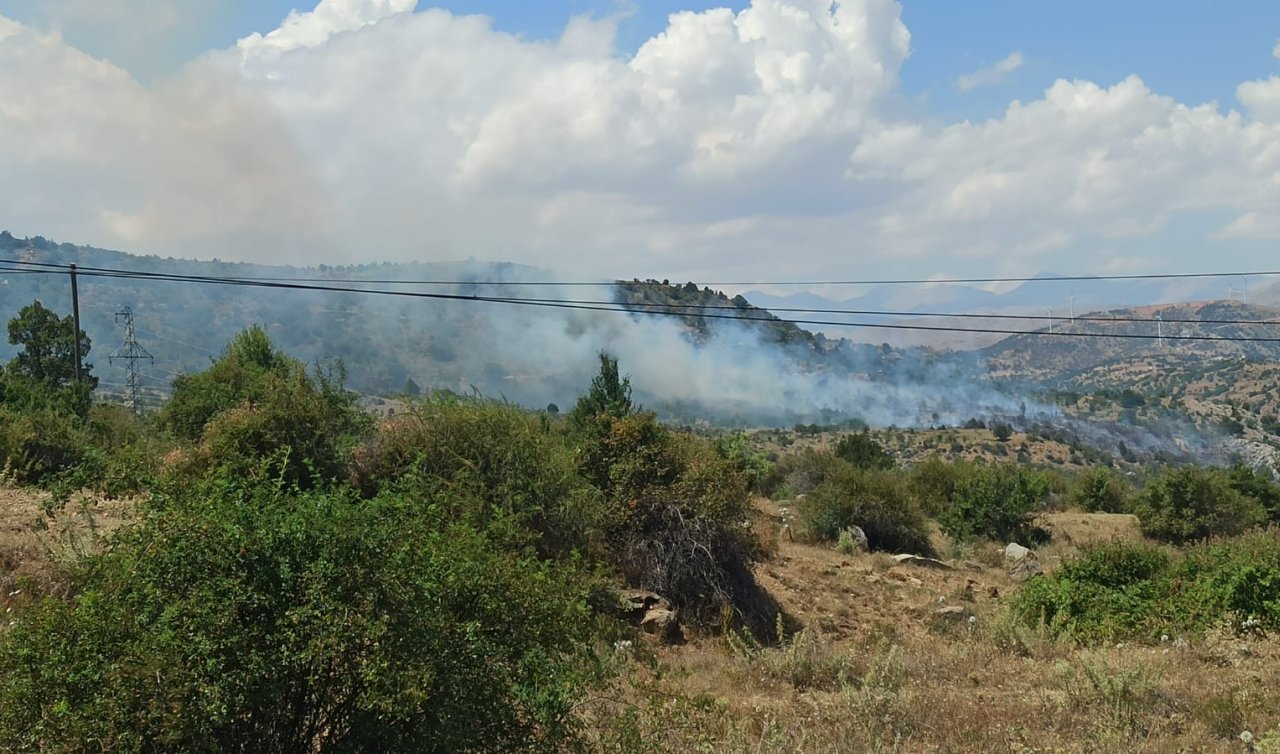 Kayseri’de ormanlık alanda çıkan yangına ekipler müdahale ediyor