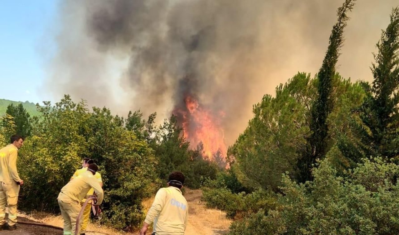 Balıkesir’de ormanlık alanda çıkan yangına müdahale ediliyor