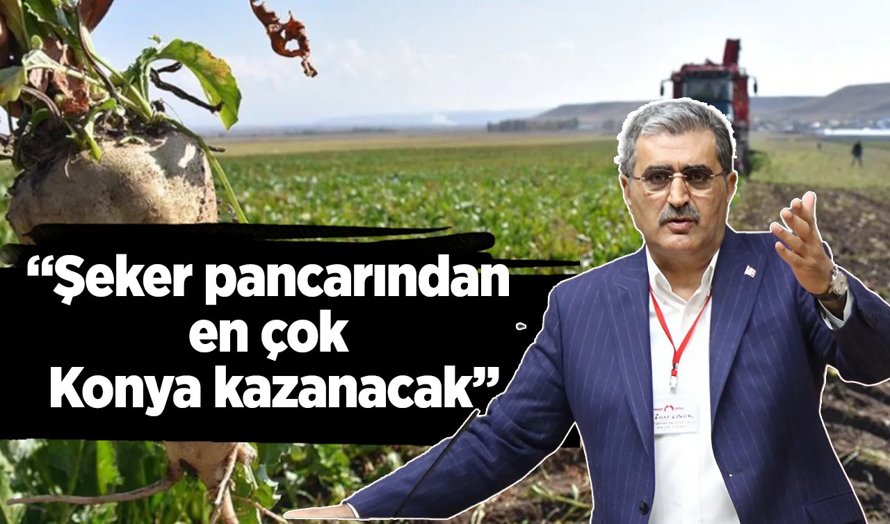  Şeker pancarından en çok Konya kazanacak