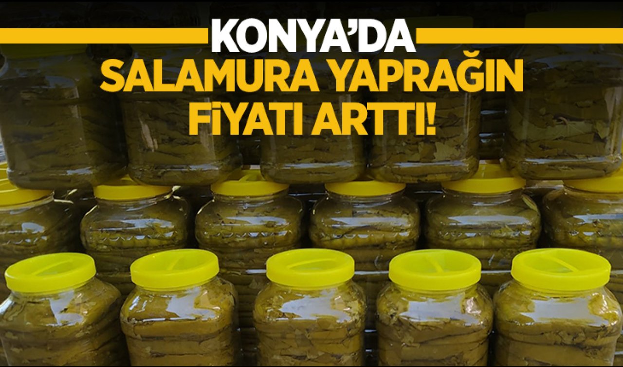 Konya’da salamura yaprağın fiyatı arttı!