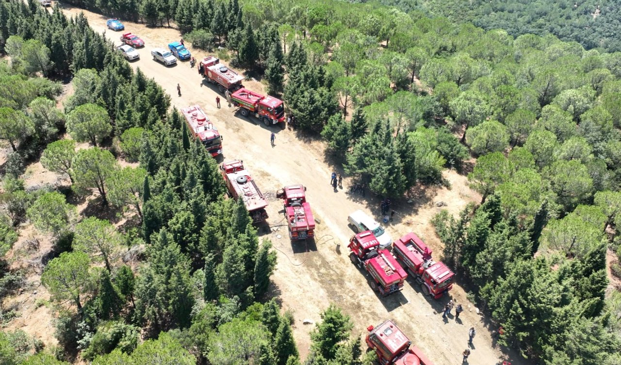 Çanakkale’nin Bayramiç ilçesinde çıkan orman yangınına müdahale ediliyor