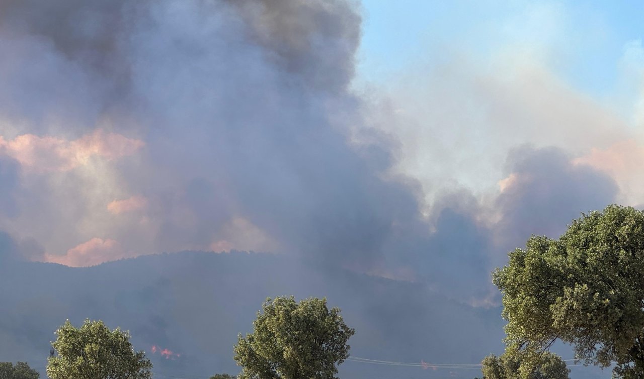 Uşak’ta orman yangınına müdahale ediliyor
