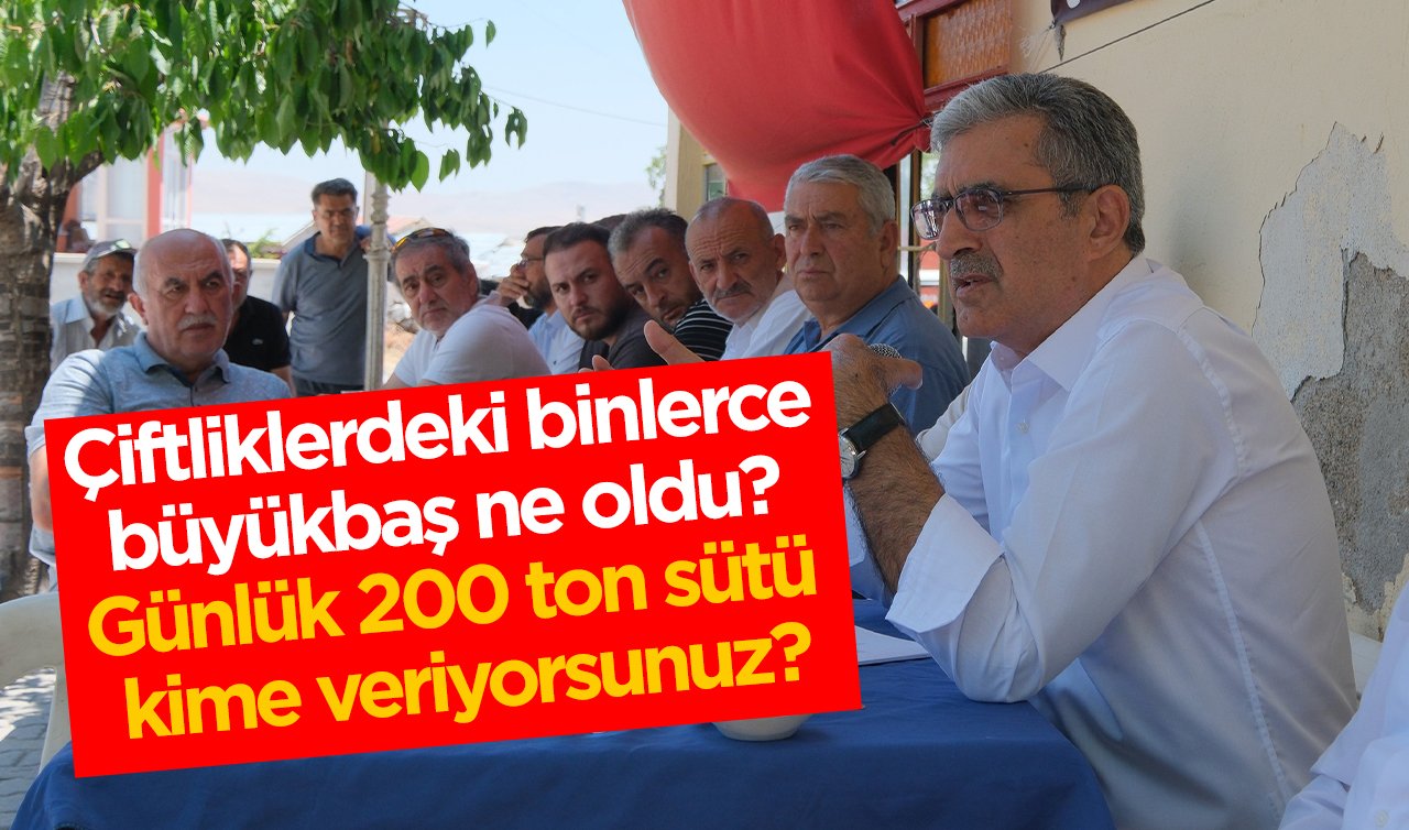 Konuk: Çiftliklerdeki binlerce büyükbaş ne oldu? Günlük 200 ton sütü kime veriyorsunuz?