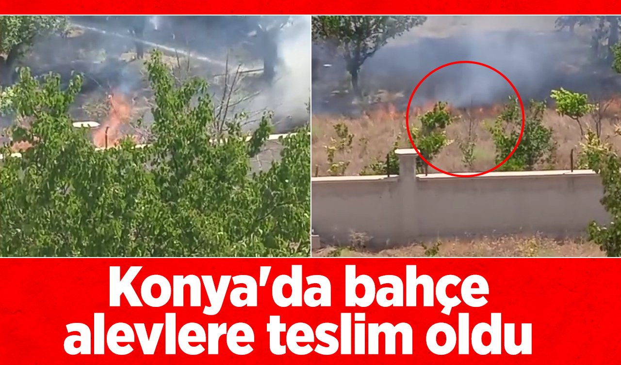Konya’da bahçe alevlere teslim oldu 