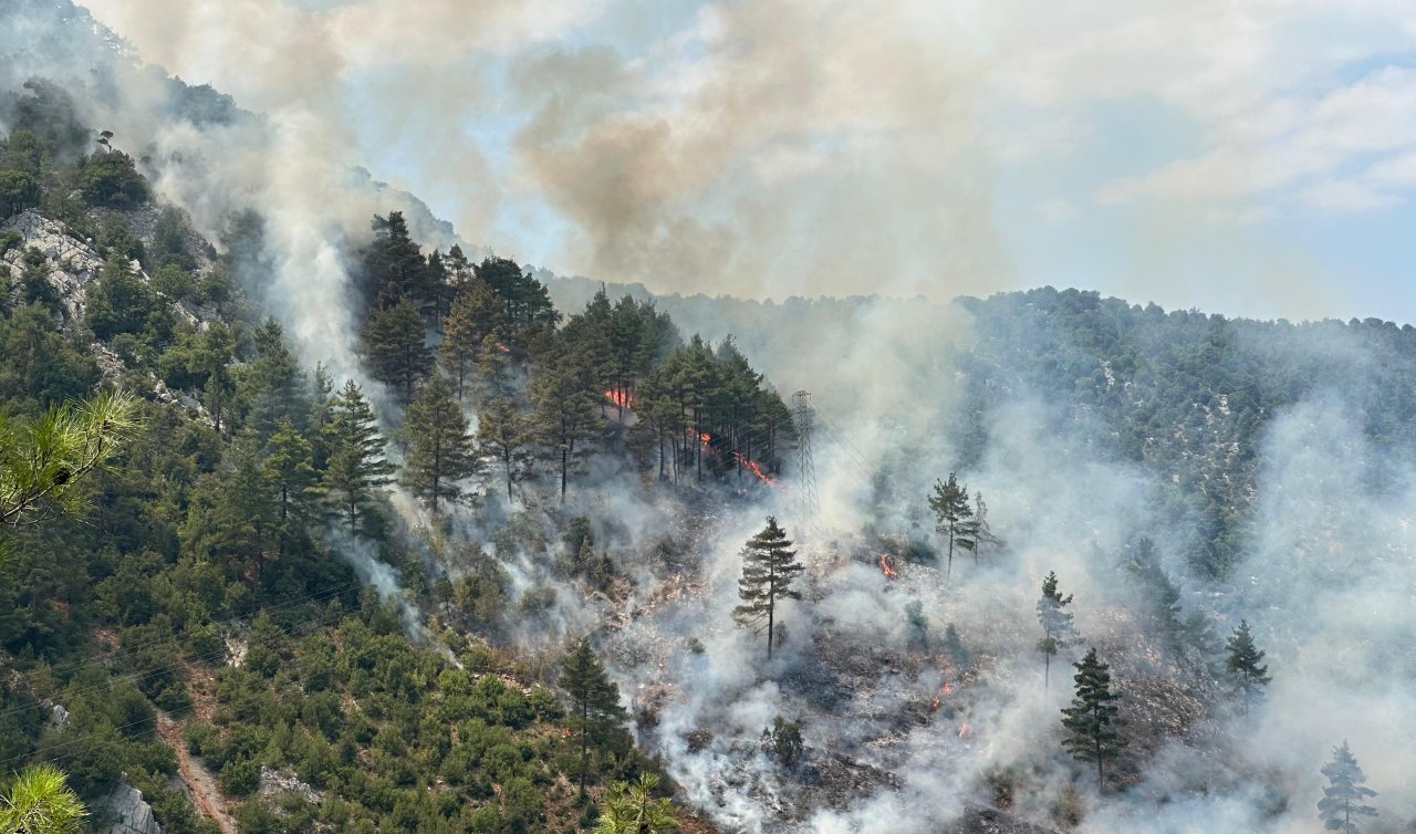 Adana’da çıkan orman yangınına müdahale ediliyor