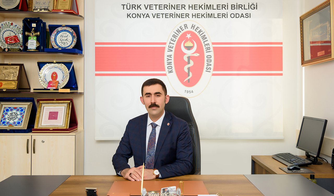 Kocaeli’de veterinere saldırı! Mesut Koçak’tan ‘yasa’ çağrısı  