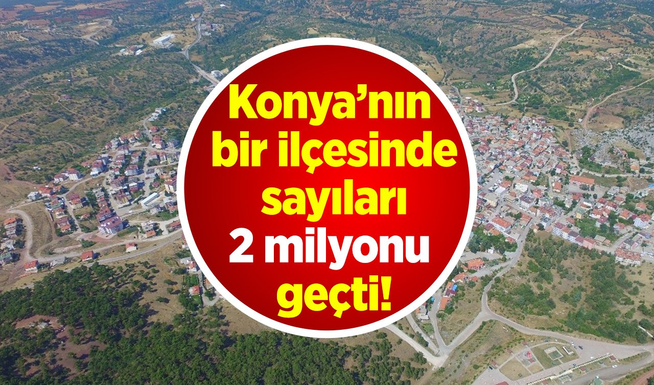  Konya’nın bir ilçesinde sayıları 2 milyonu geçti! Farklı noktalarda buluşturuldu