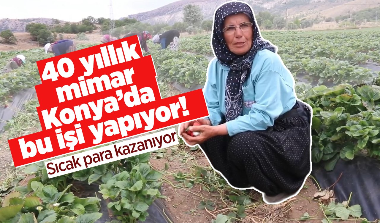 40 yıllık mimar Konya’da bu işi yapıyor! Sıcak para kazanıyor  
