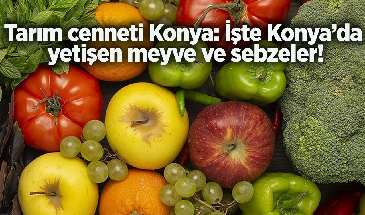 Tarım cenneti Konya: İşte Konya’da yetişen meyve ve sebzeler!