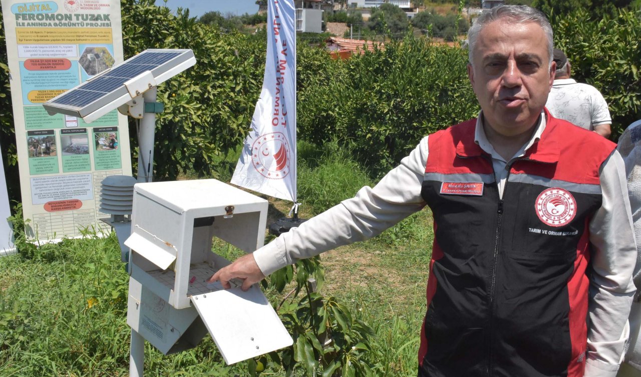 Meyve sineğine karşı mücadele başladı!