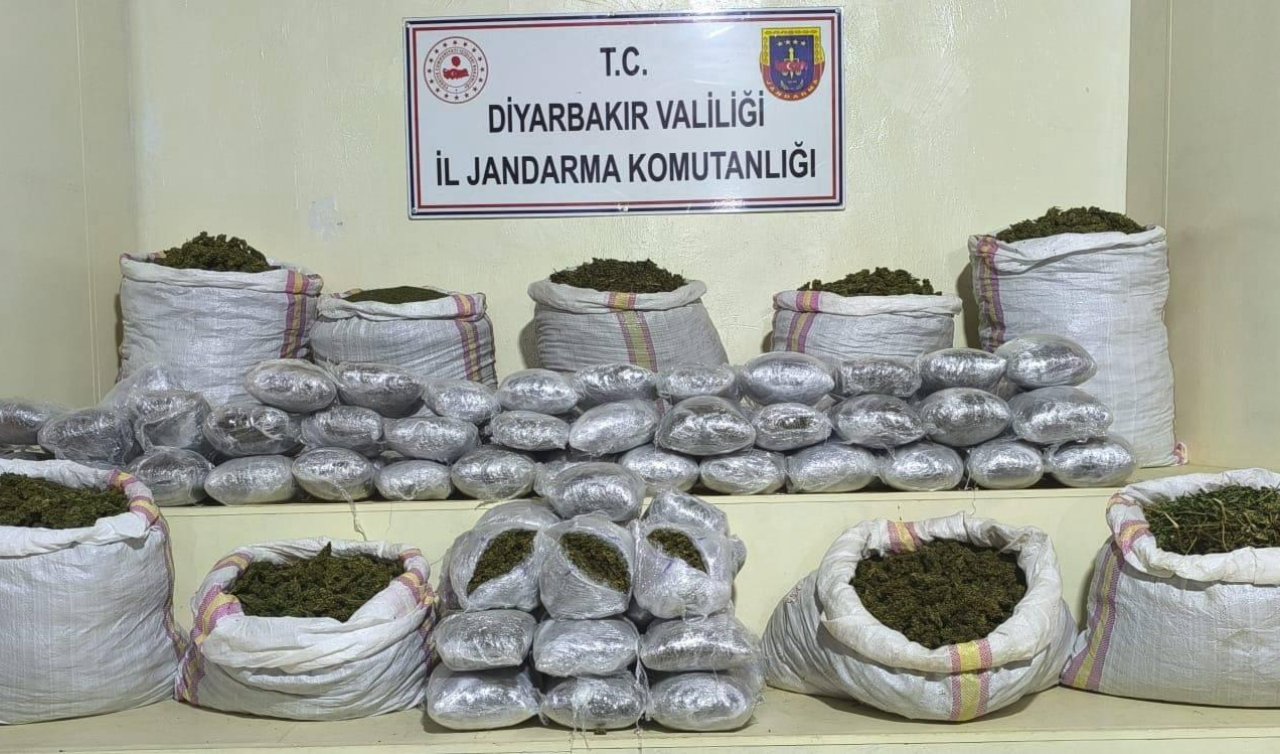 2 milyon 669 bin kök kenevir ile 203 kilo esrar ele geçirildi!