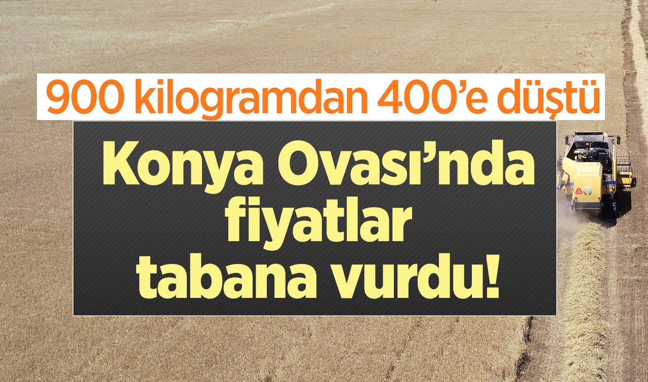  Konya Ovası’nda fiyatlar tabana vurdu!  900 kilogramdan 400’e düştü