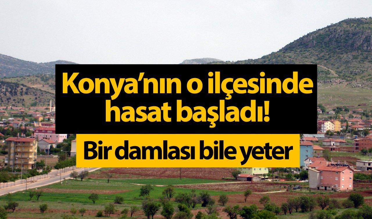 Konya’nın o ilçesinde hasat başladı! Bir damlası bile yeter