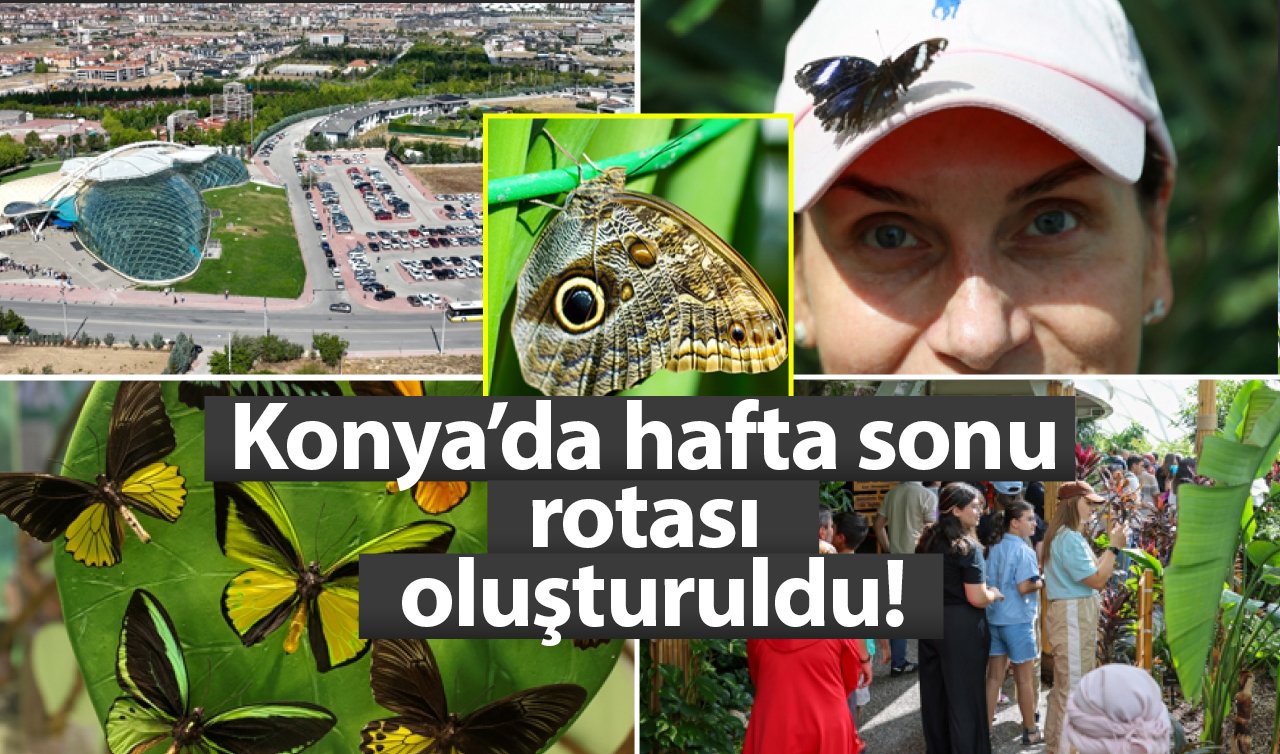 Konya’da hafta sonu rotası oluşturuldu! TAM 45 farklı türde onbinlerce kelebek eşsiz deneyim yaşatıyor