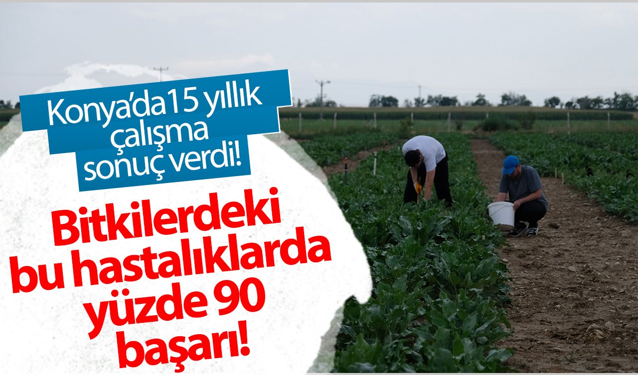 Konya’daki 15 yıllık çalışma sonuç verdi! Bitkilerdeki bu hastalıklarda yüzde 90 başarı!