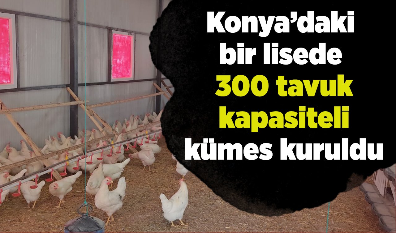 Konya’daki bir lisede 300 tavuk kapasiteli kümes kuruldu