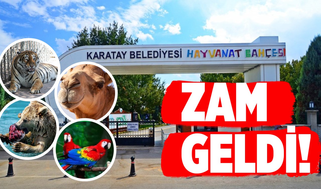 Her gün yüzlerce kişi geliyordu! Karatay Hayvanat Bahçesi giriş ücretlerine zam geldi!