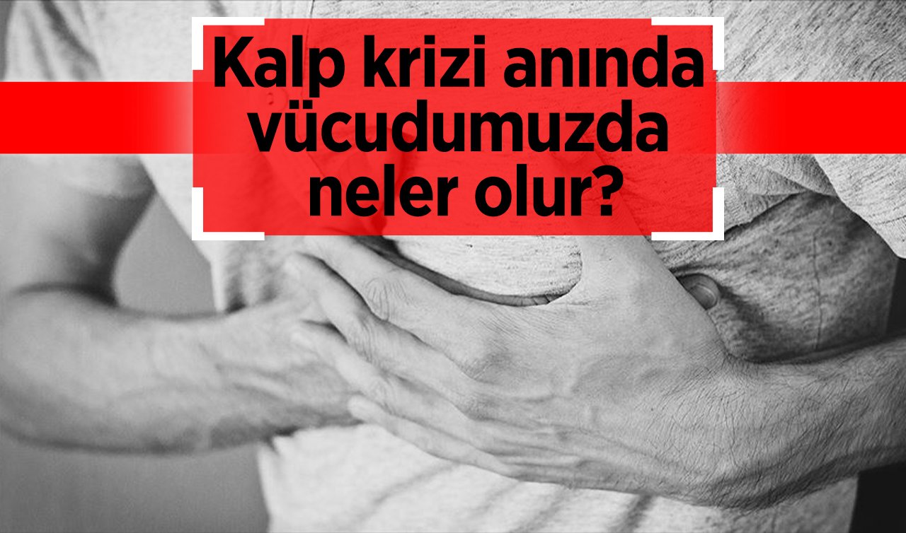 Kalp krizi anında vücudumuzda neler olur?