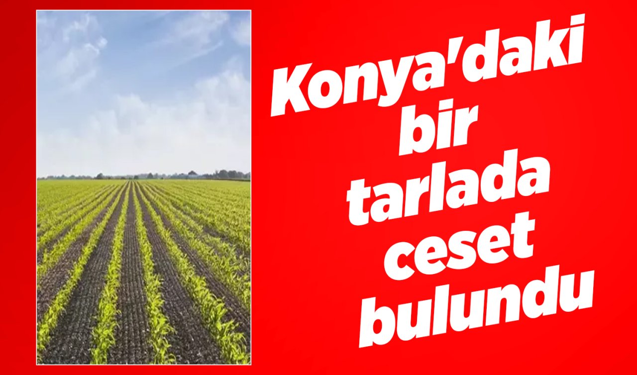 Konya’daki bir tarlada ceset bulundu
