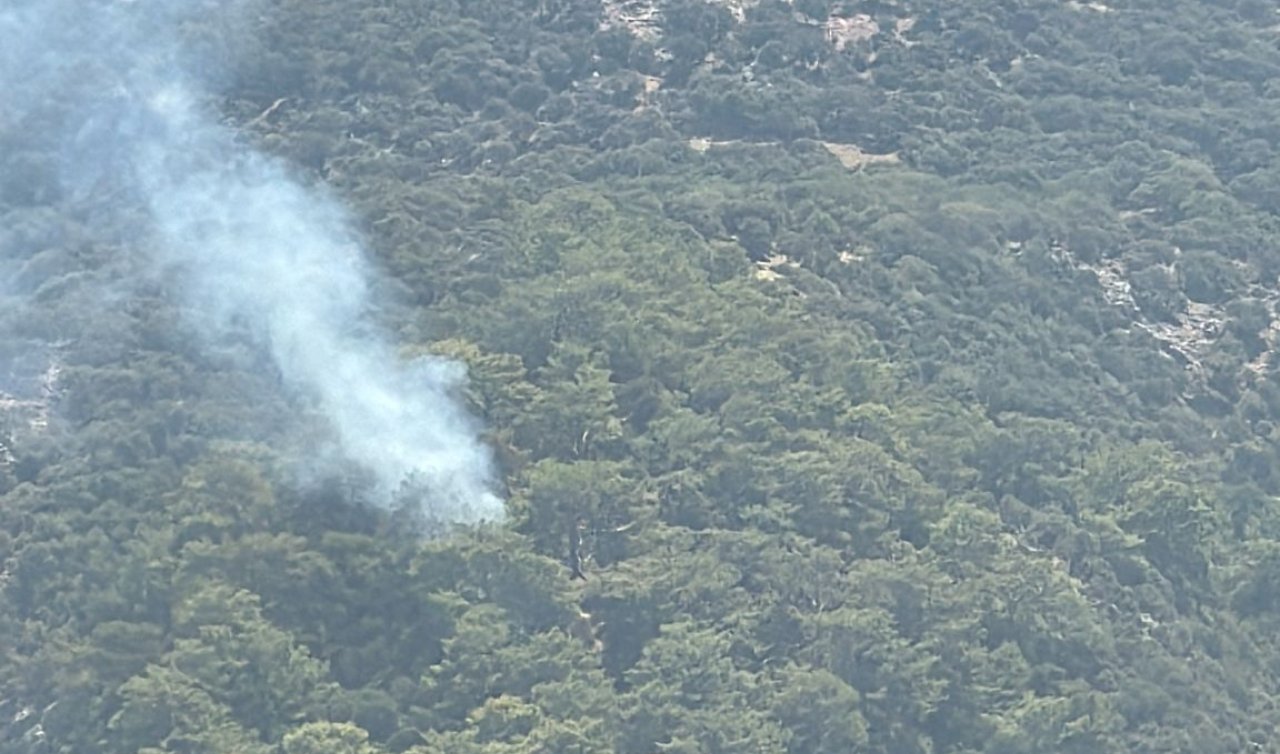 Muğla’nın Ortaca ilçesinde orman yangını çıktı