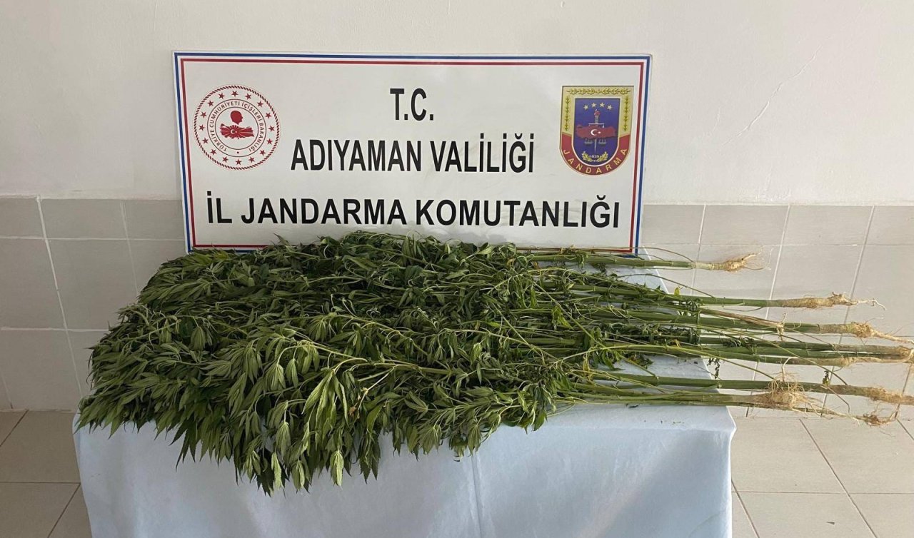 Uyuşturucu operasyonu sonucu 28 şüpheli gözaltına alındı
