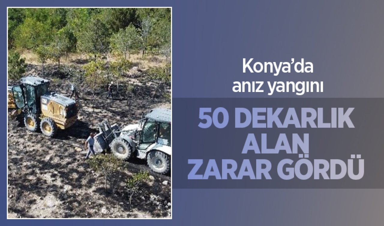 Konya’da anız yangını: 50 dekarlık alan zarar gördü!