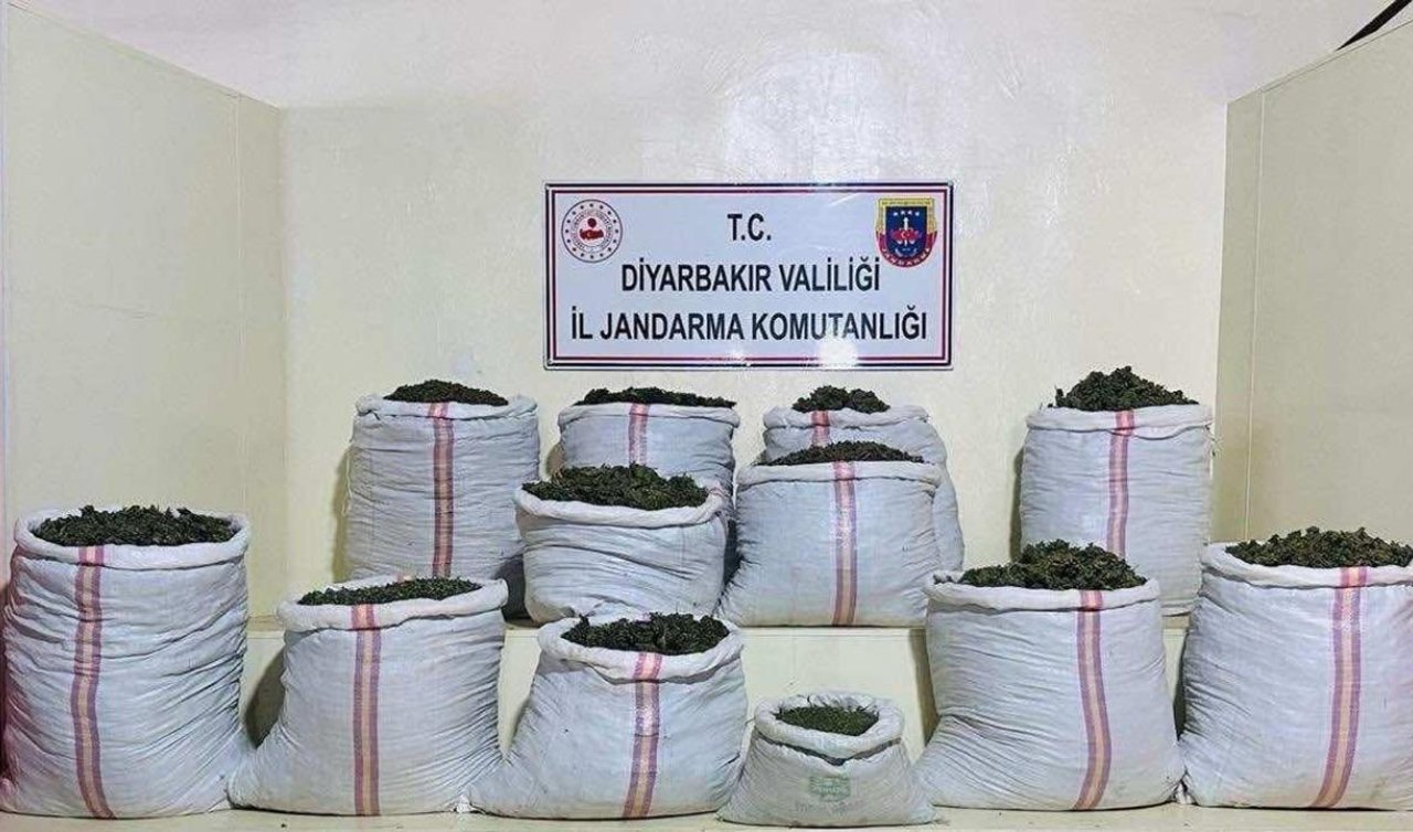  2 milyon 300 bin 500 kök kenevir ve 180 kilogram esrar ele geçirildi