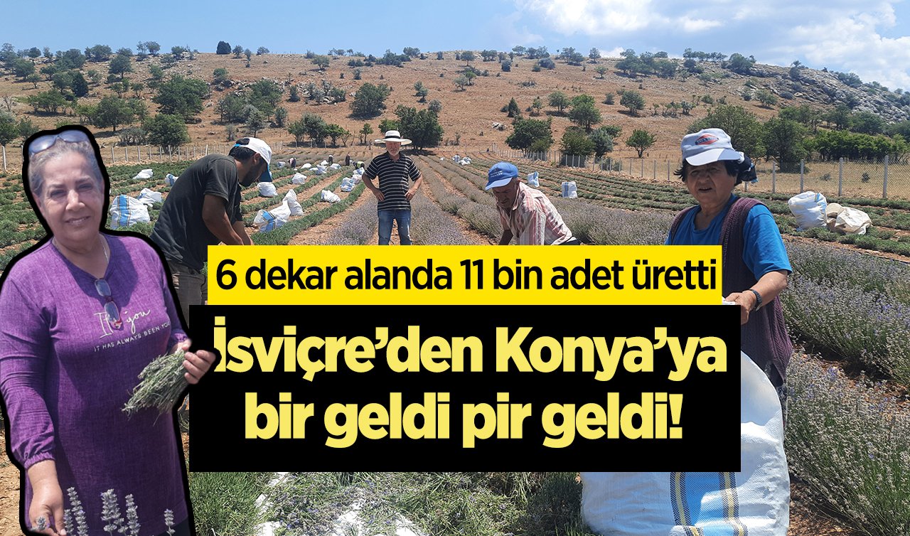 İsviçre’den Konya’ya bir geldi pir geldi!  6 dekar alanda 11 bin adet üretti: Rahatsızlıklarından kurtuldu! 