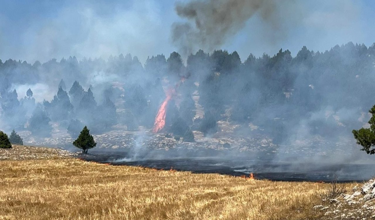 Korkulan oldu! Anız yangını ormana sıçradı