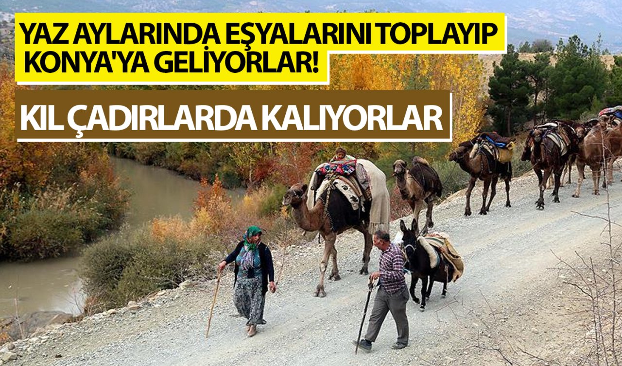  Yaz aylarında eşyalarını toplayıp Konya’ya geliyorlar! Kıl çadırlarda kalıyorlar 