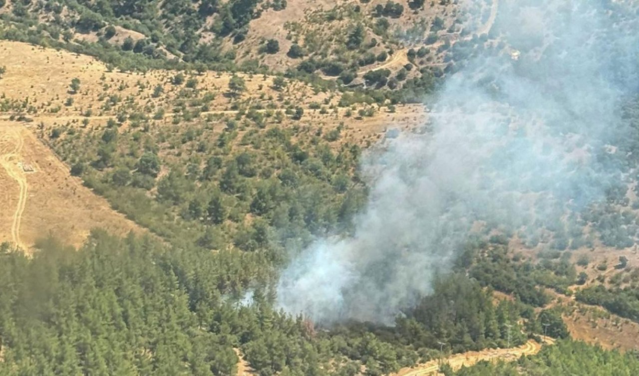 Balıkesir’de orman yangını
