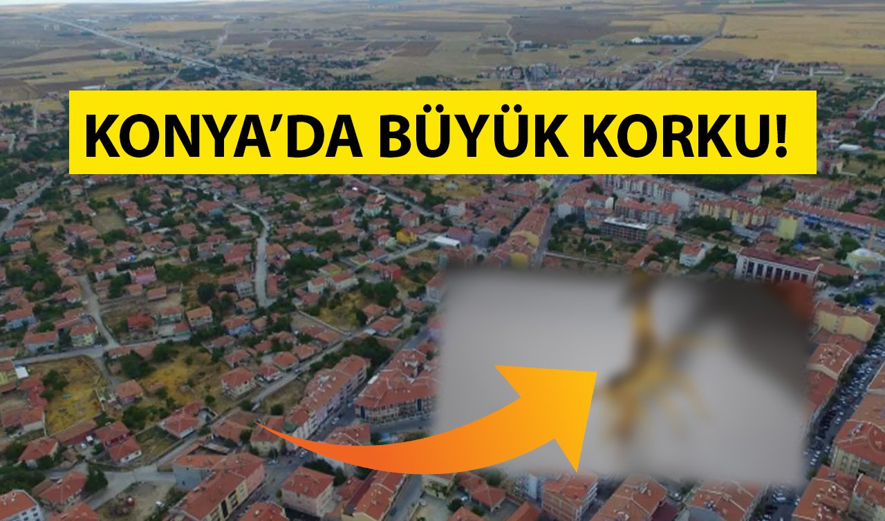 Konya’da büyük korku! Gurbetçi kadını akrep soktu 