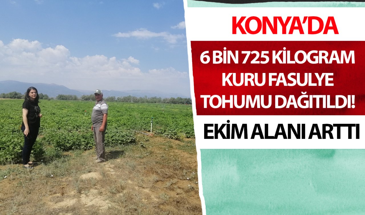 Konya’da 6 bin 725 kilogram kuru fasulye tohumu dağıtıldı! Ekim alanı arttı