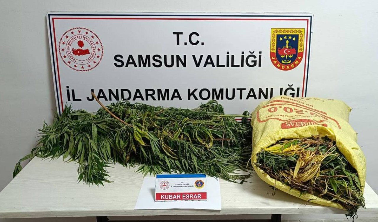 Uyuşturucu operasyonunda 12 kilogram esrar ele geçirildi