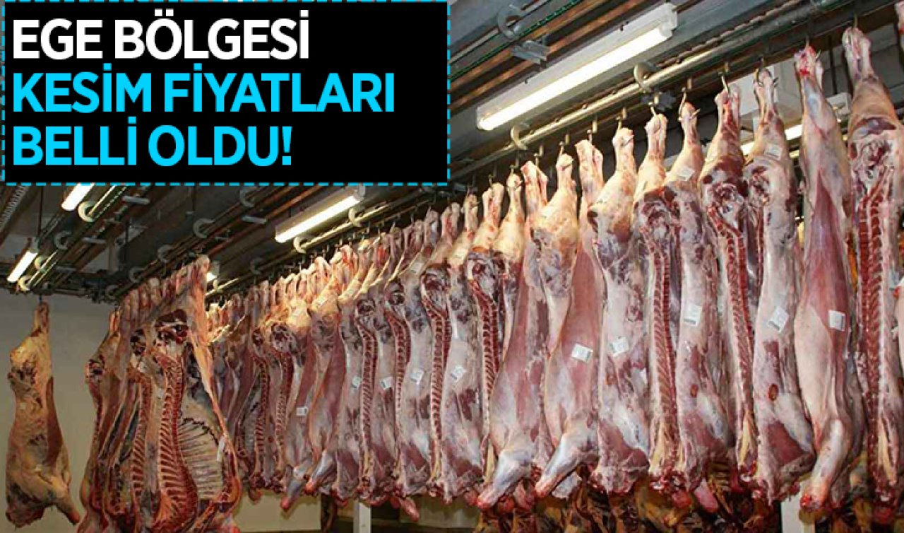 İzmir, Manisa, Denizli, Aydın ve Muğla’da dana ve kuzu kesim fiyatları belli oldu!