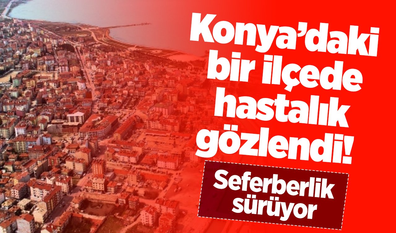 Konya’daki bir ilçede hastalık gözlendi! Seferberlik sürüyor
