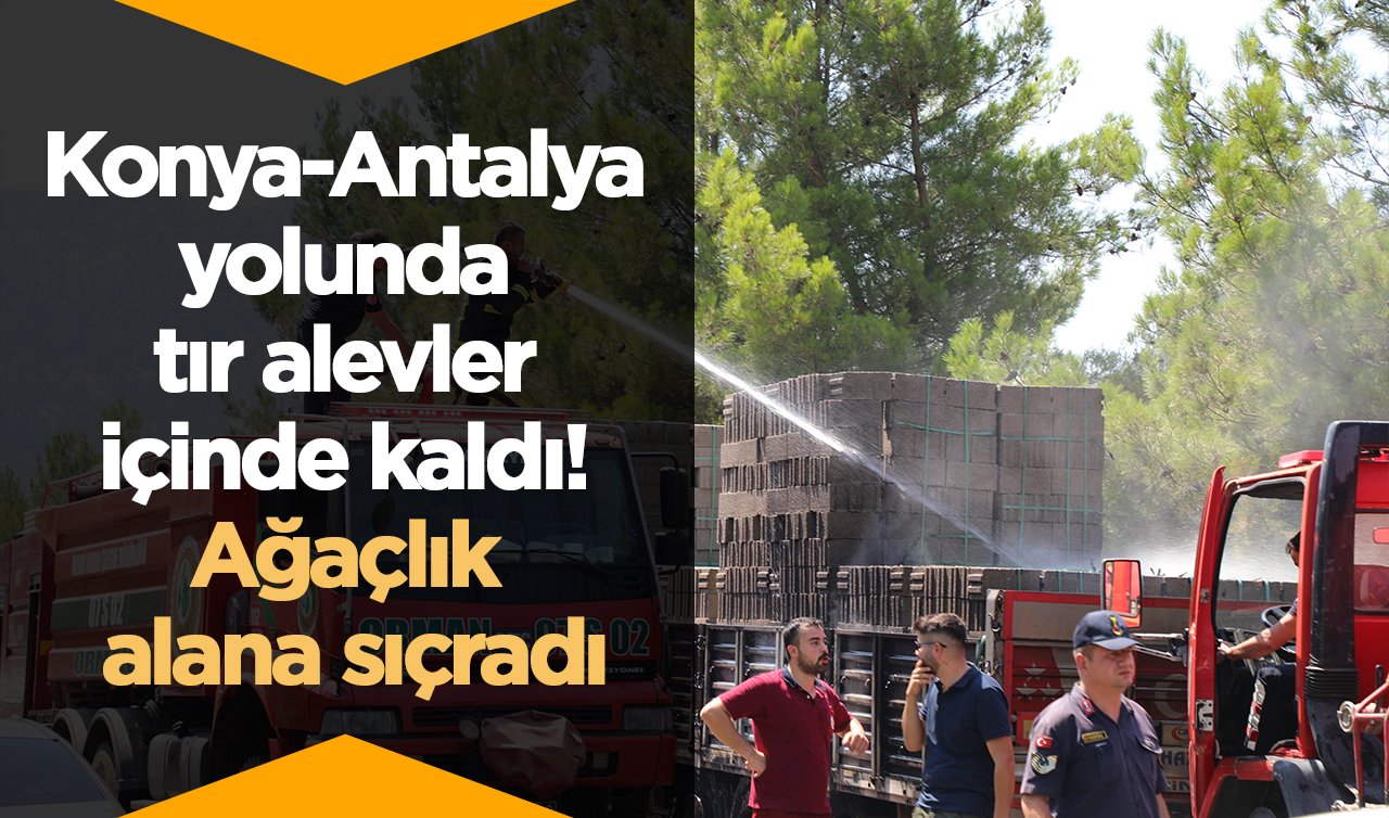 Konya-Antalya yolunda tır alevler içinde kaldı! Ağaçlık alana sıçradı